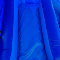 TAURANGA Bouncy Castle for Hire - Under Sea Combo - Slide View